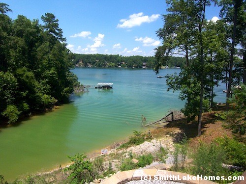 Smith Lake Foreclosure - View