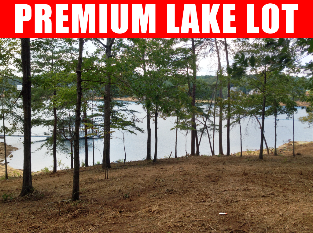lake-shore-dr-lewis-smith-lake-lot-1