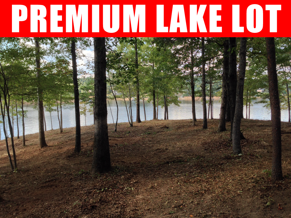 lake-shore-dr-lewis-smith-lake-lot-2